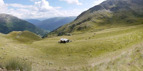 Blick auf die grüne Almwiese Franui in Osttirol - Namenspatin für die Musicbanda Franui