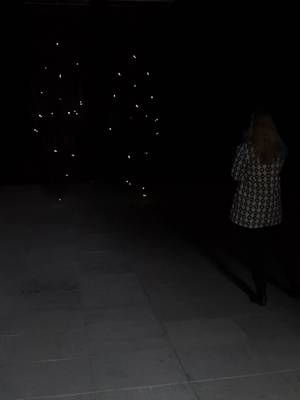 Blick auf die Lichtinstallation "Lyrical Lights" von Rens Veltman in der Orangerie Herrenhausen
